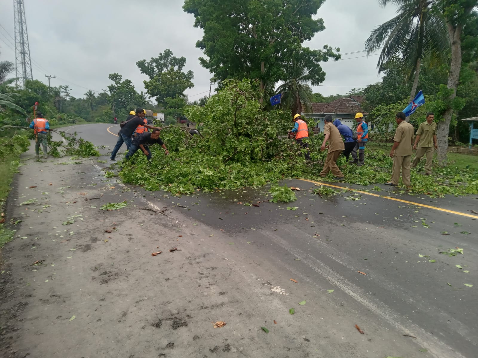 Pemdes Talang Baru Pangkas Pohon Rawan Tumbang