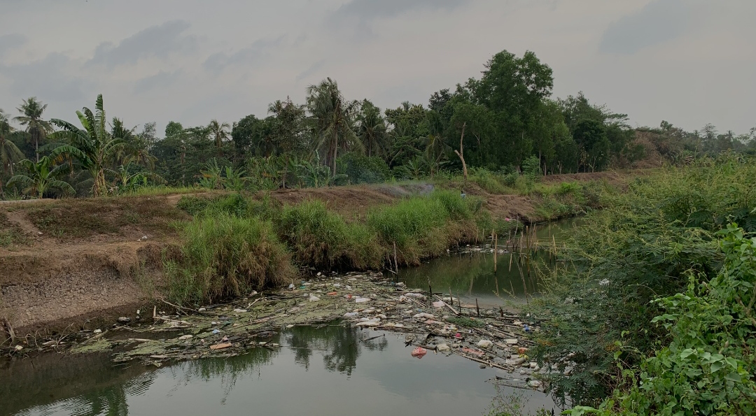 Diguyur Hujan Sepekan, Air Persawahan Masih Kekurangan