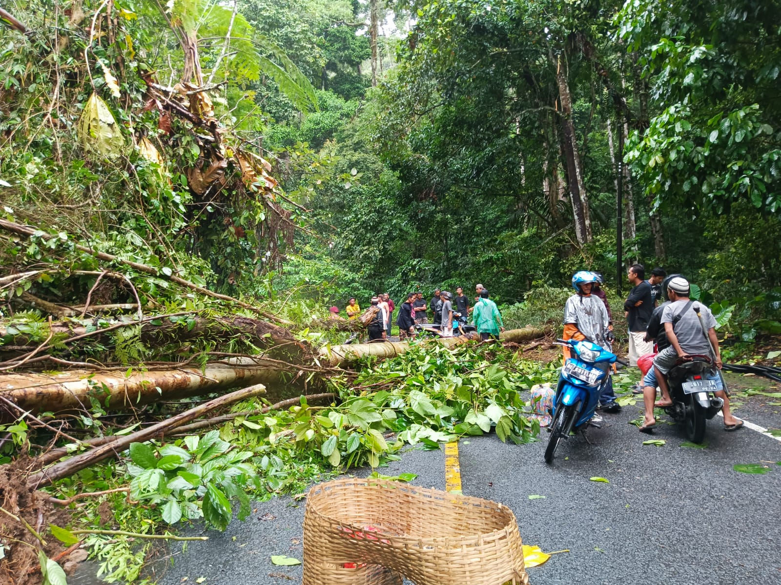 Tanah Longsor di Pekon Labuhan Mandi Way Krui  Sebabkan Kemacetan Panjang di Jalan Nasional Liwa - Krui