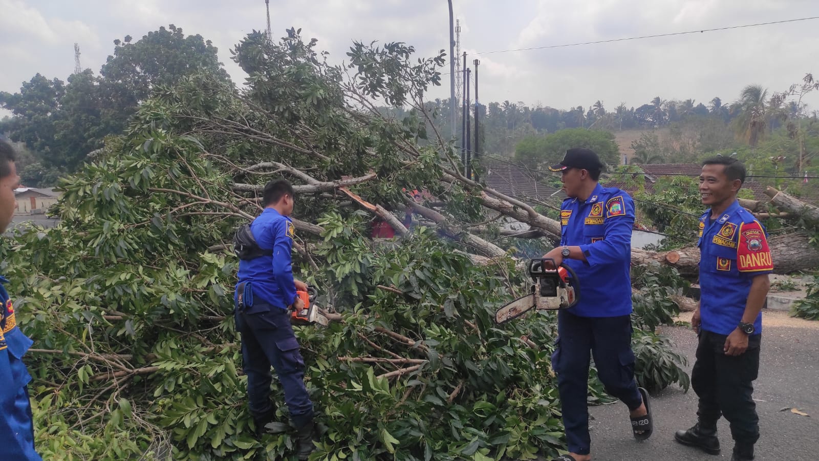 Damkar Sisir Pohon Rawan Tumbang di Komplek Pemkab