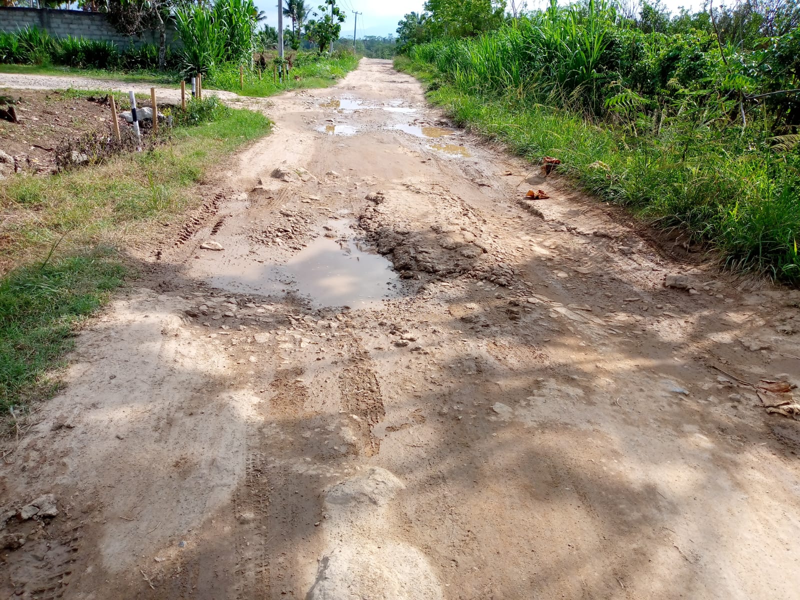 Pemkab Tidak Peduli Soal Infrastruktur Jalan Rusak di Lampung Selatan