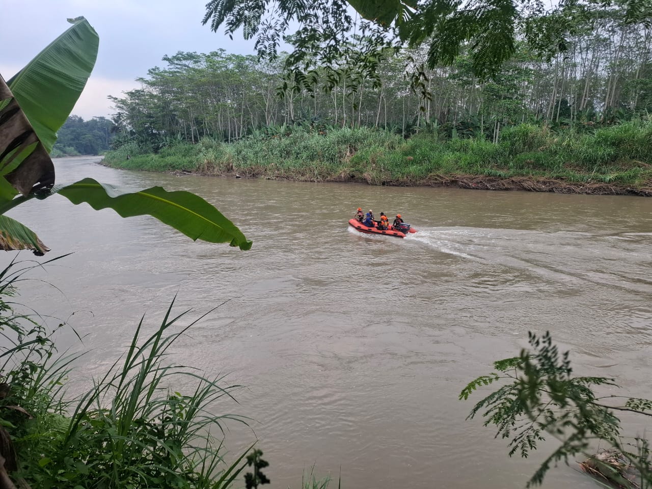Diduga Terjatuh di Sungai Way Semaka, Seorang Nenek Dalam Pencarian Tim SAR Gabungan