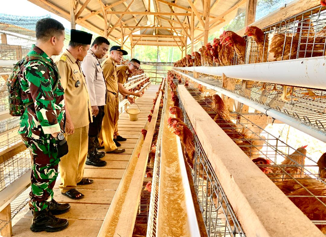 Produksi Telur Ayam Desa Banjarmasin Sokong Program Ketahanan Pangan 