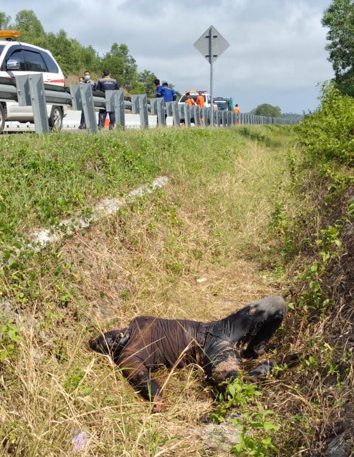 Petugas Kebersihan Temukan Mayat Anonim di KM-04 Tol Bakauheni