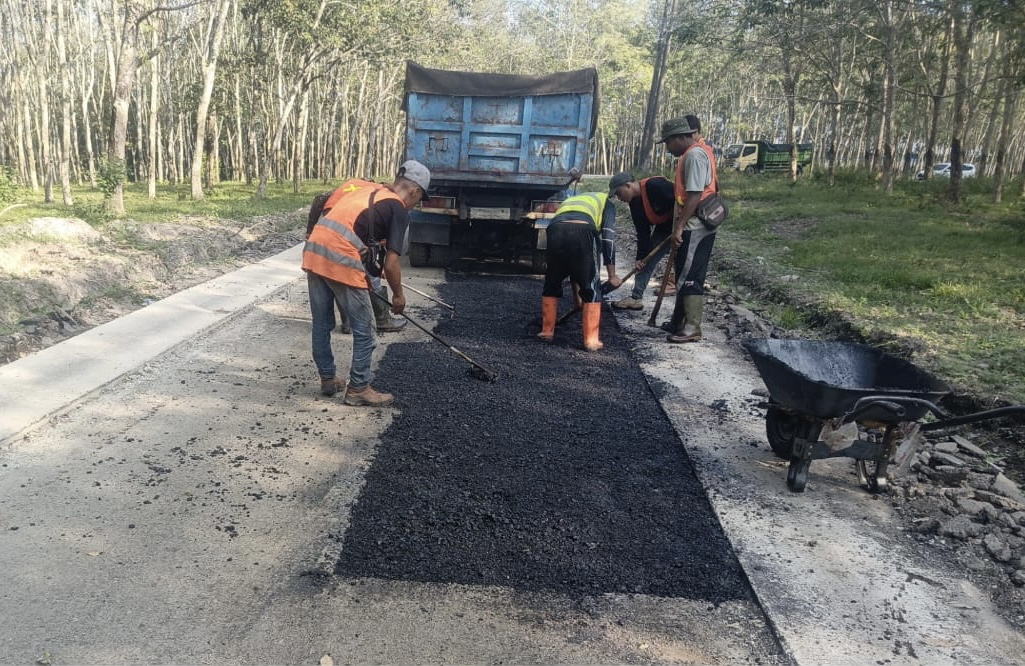 Pembangunan Jalan Ruas Sukamarga-Bulok Dikebut, Progresnya Hampir 90 persen