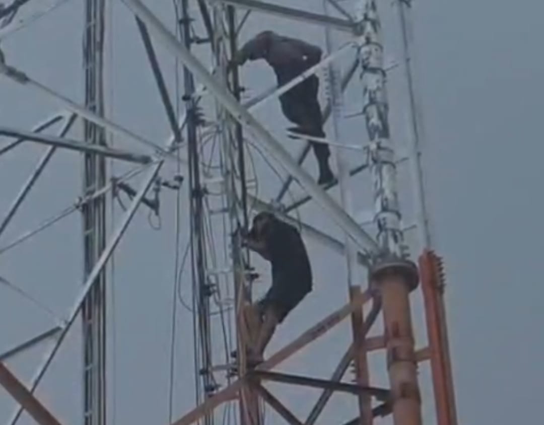Ketahuan Mencuri, Pelaku Panjat Tiang Tower telekomunikasi PT Huawei Tech di Kecamatan Rajabasa