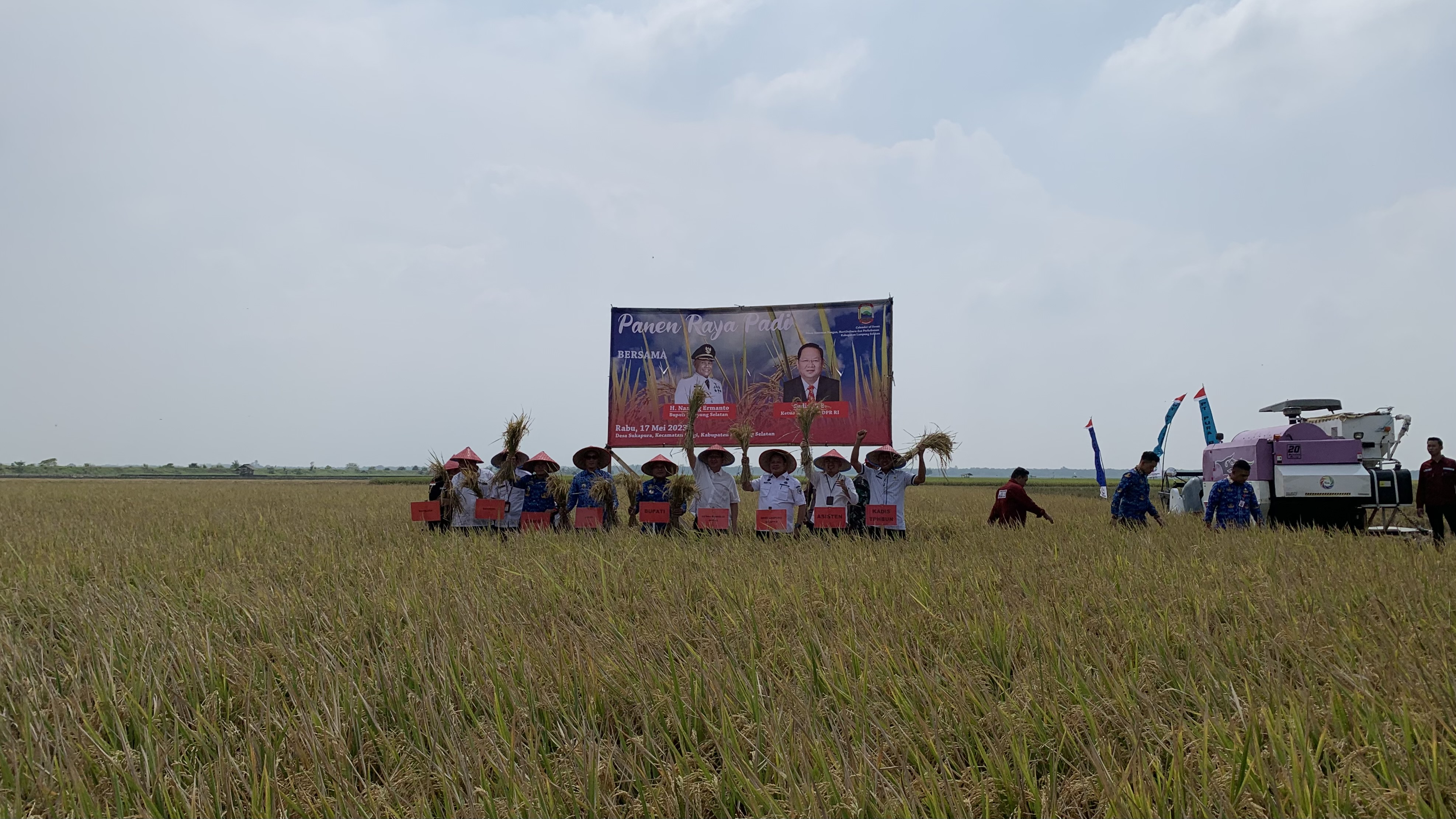 Alhamdulillah, Masuk Musim Rendeng Jadi Berkah, Hasil Panen Padi Meningkat