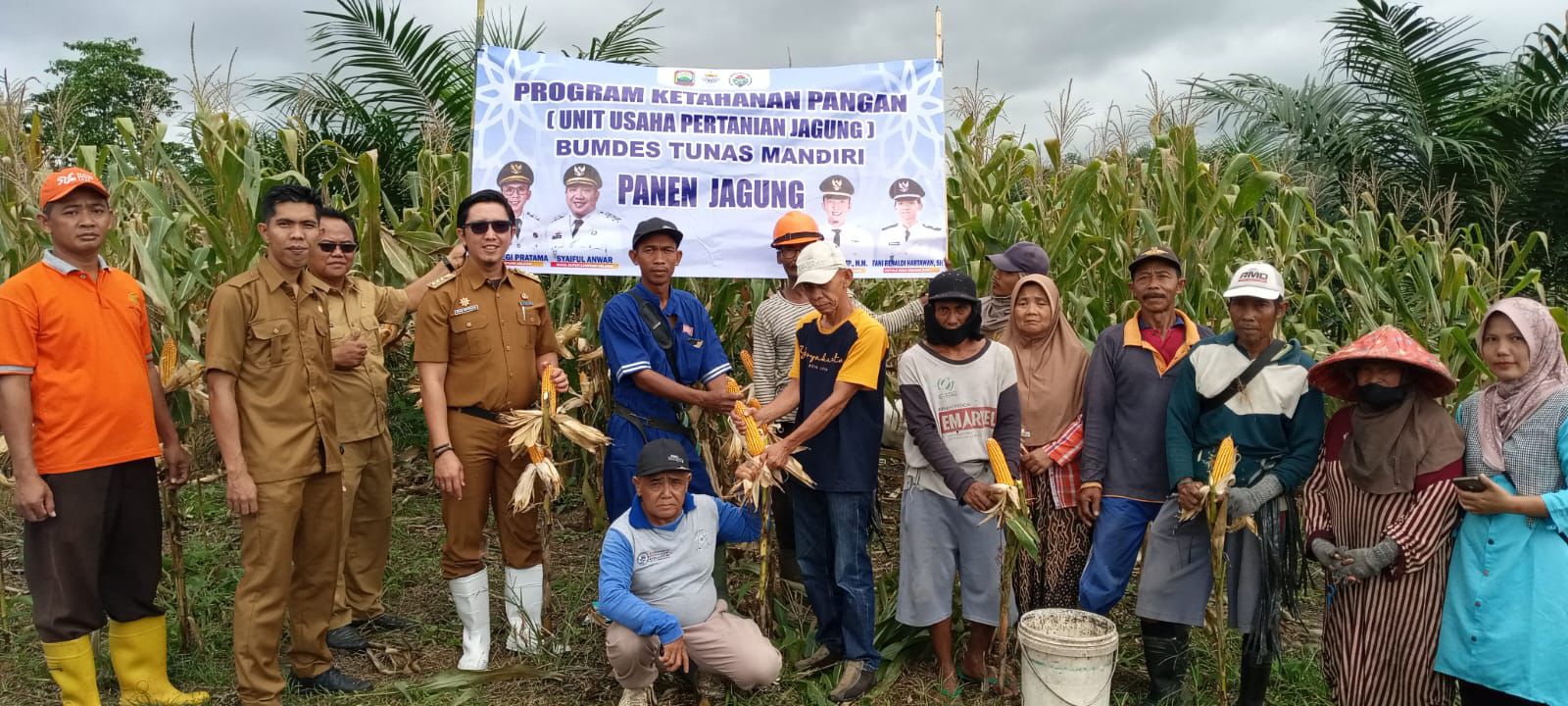 Desa Negara Ratu Panen Jagung Perdana Program BUMDes Tahun 2025, Camat:Semoga Panen Berikutnya Lebih Berlimpah