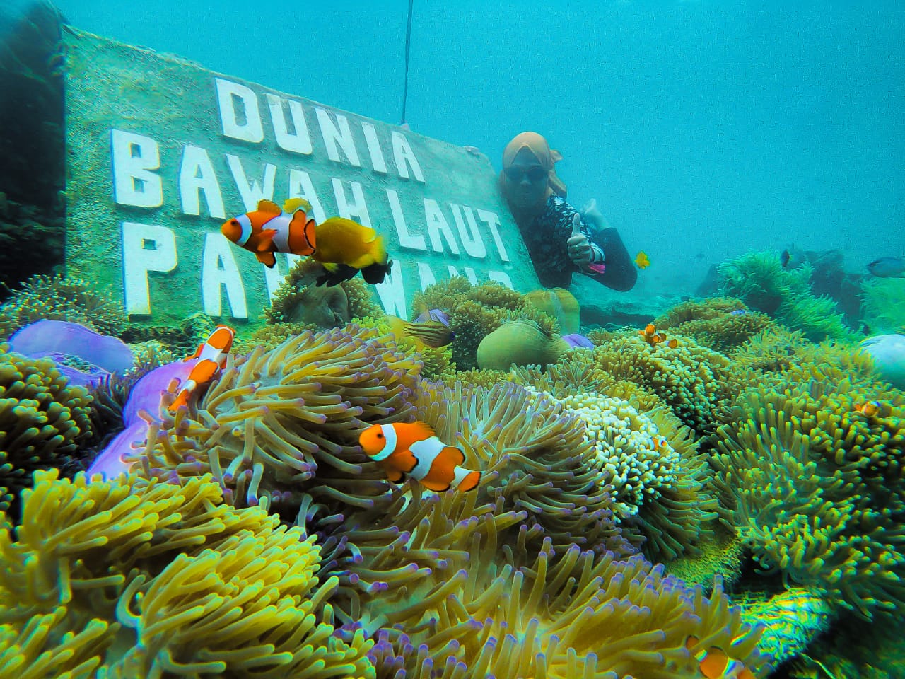 Melepas Penat di Taman Nemo Pulau Pahawang, Cuma 1 Jam Dari Kota Bandar Lampung