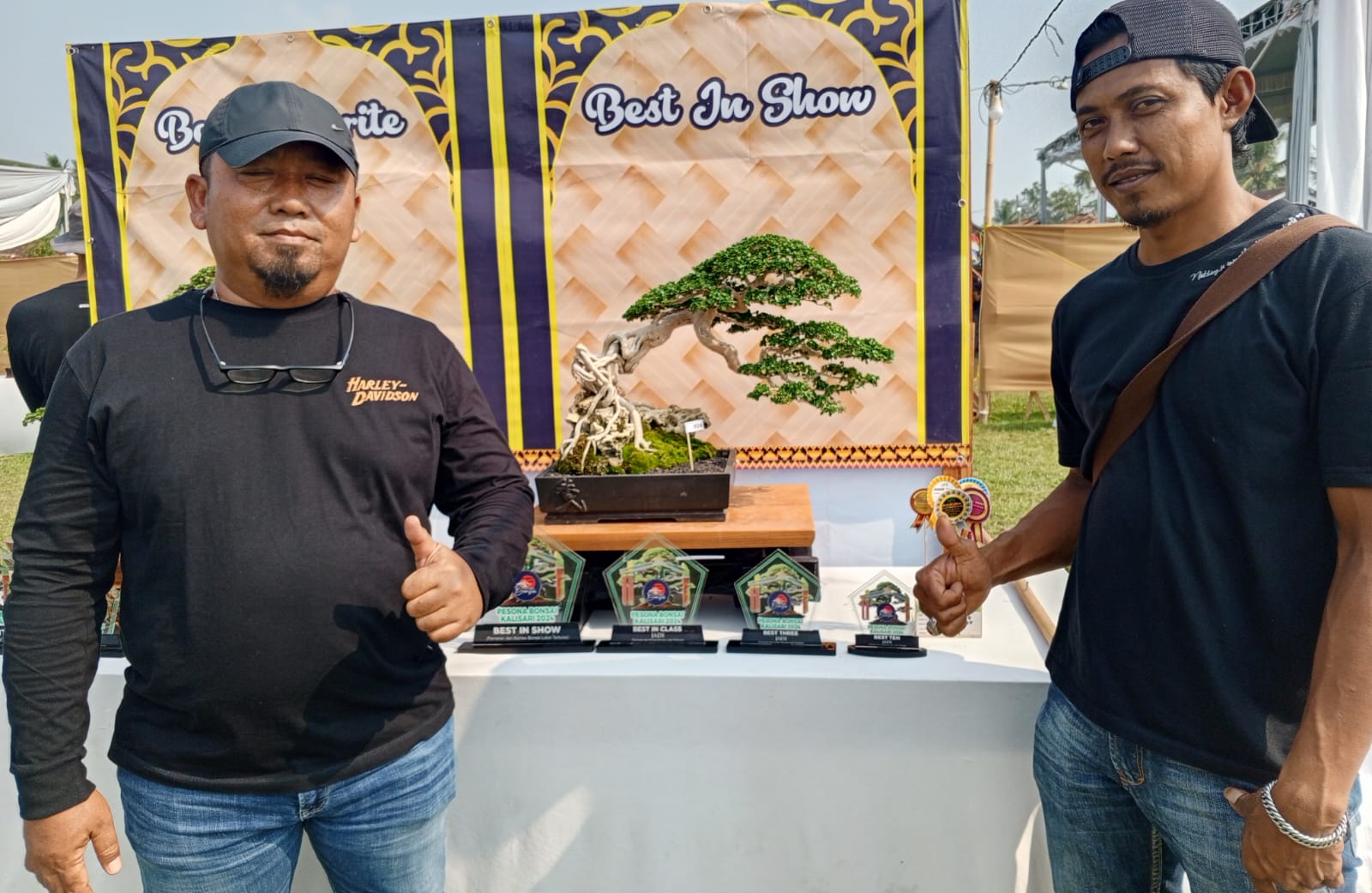 Bonsai Mak Lampir Keluar Sebagai Juara di Pesona Bonsai Kalisari, Begini Penampakannya!