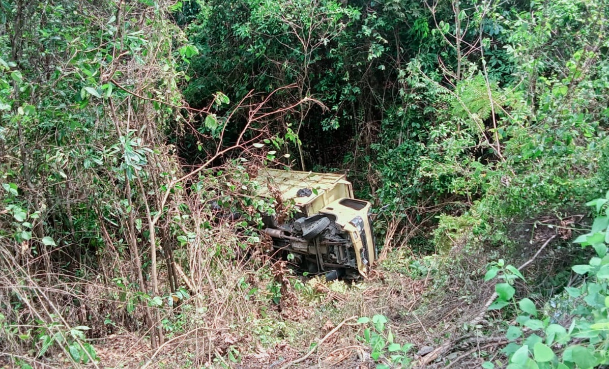 Sopir Ngantuk Berat, Truk Dari Baturaja Masuk Jurang Sedalam 20 Meter di Kampung Negeri Baru Way Kanan 