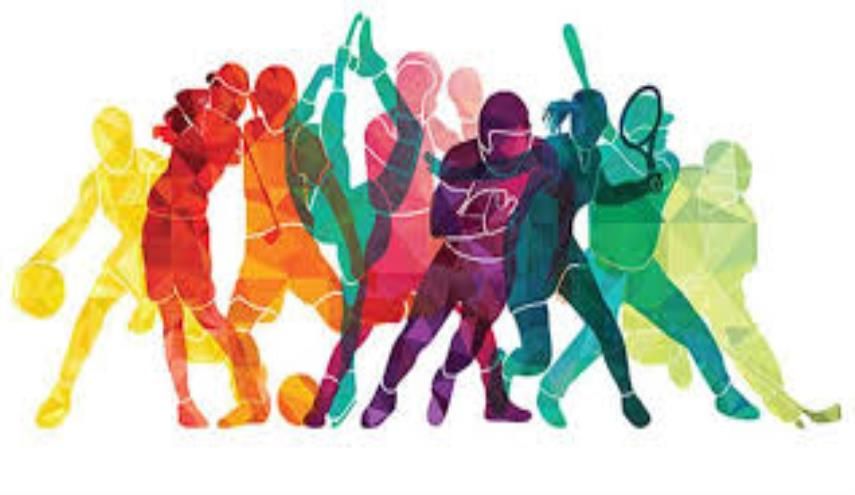 Daftar Sembilan Cabor di Porkab Lampung Selatan, Ada Mini Soccer dan Biliar