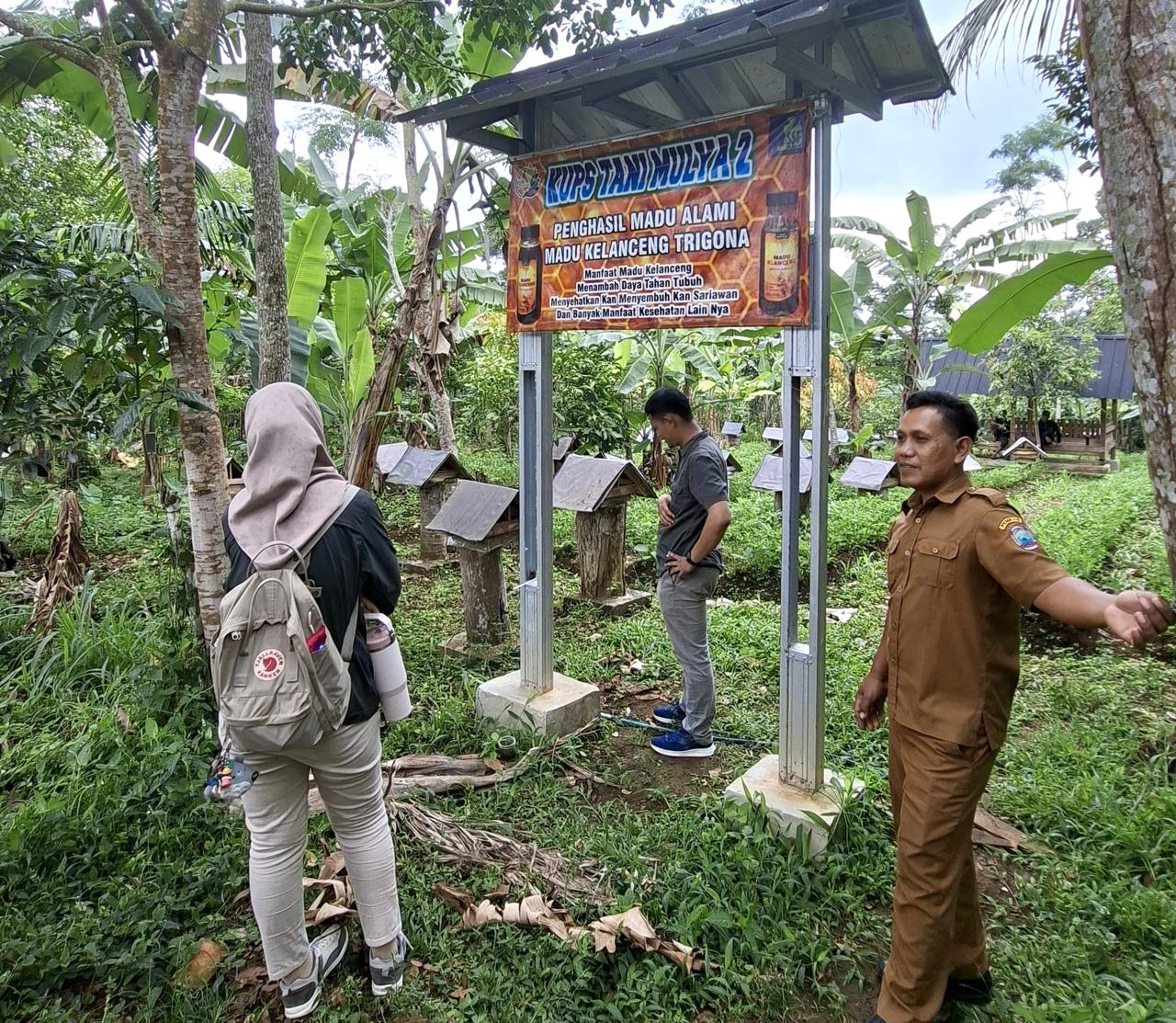 Budidaya Lebah Trigona KUPS Tani Mulya 2 Butuh Dukungan Fasilitas Pemerintah
