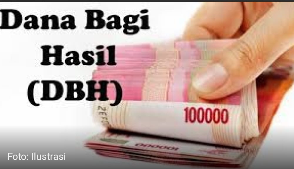 Soal Gaji Perangkat Desa Dan DBH Belum Dibayar, Begini Penjelasan Pemkab Lampung Selatan! 