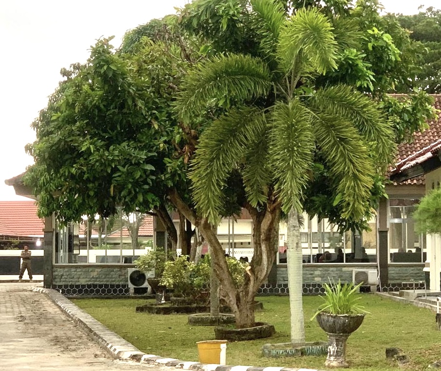 Ghibah Gabah