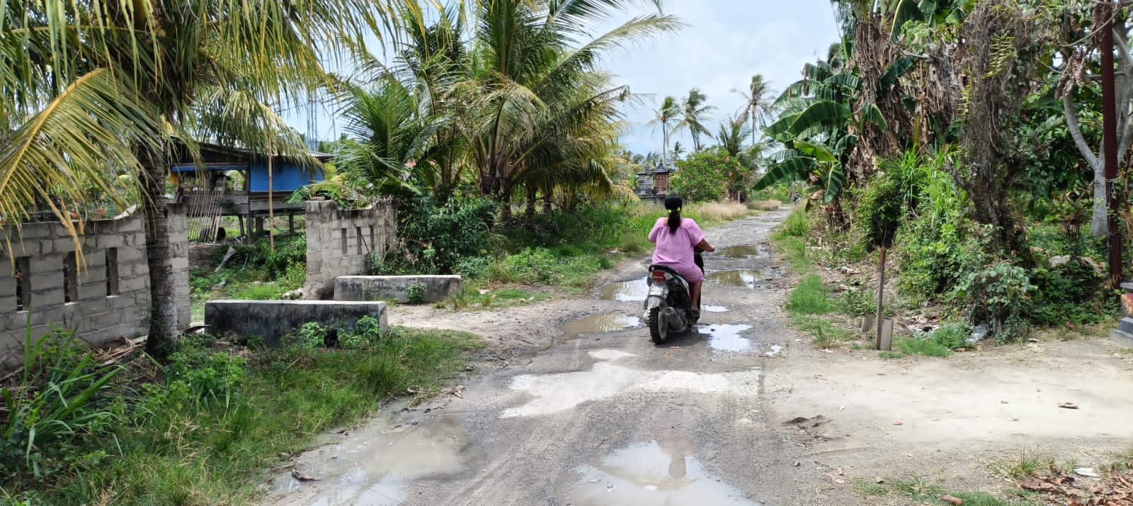 Miris..!, Bertahun-tahun Rusak, Jalan Penghubung Antar Desa Hanya di Tinjau 