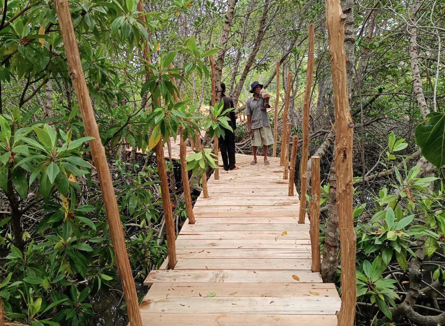 Cihui! Tracking Mangrove Bakal Jadi Destinasi Wisata Teranyar di Bakauheni