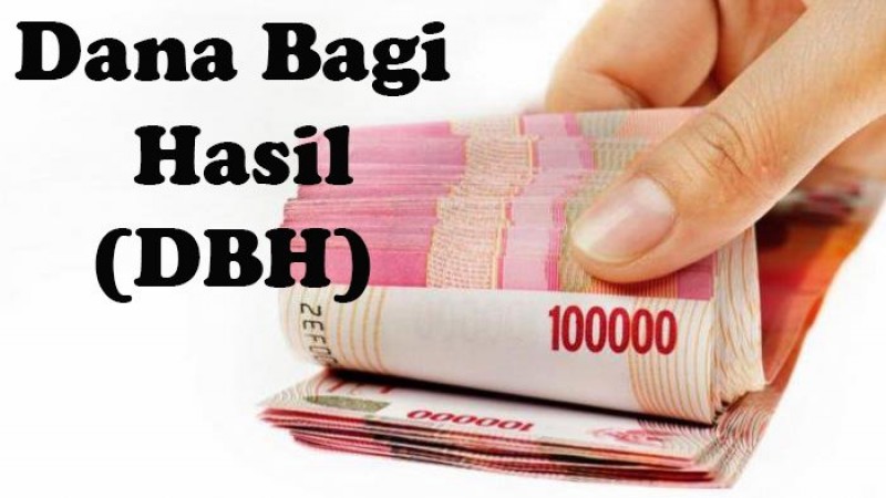 Hingga Hari Ini Dana Bagi Hasil Puluhan Miliar Untuk 260 Desa di Lampung Selatan Belum Juga Cair