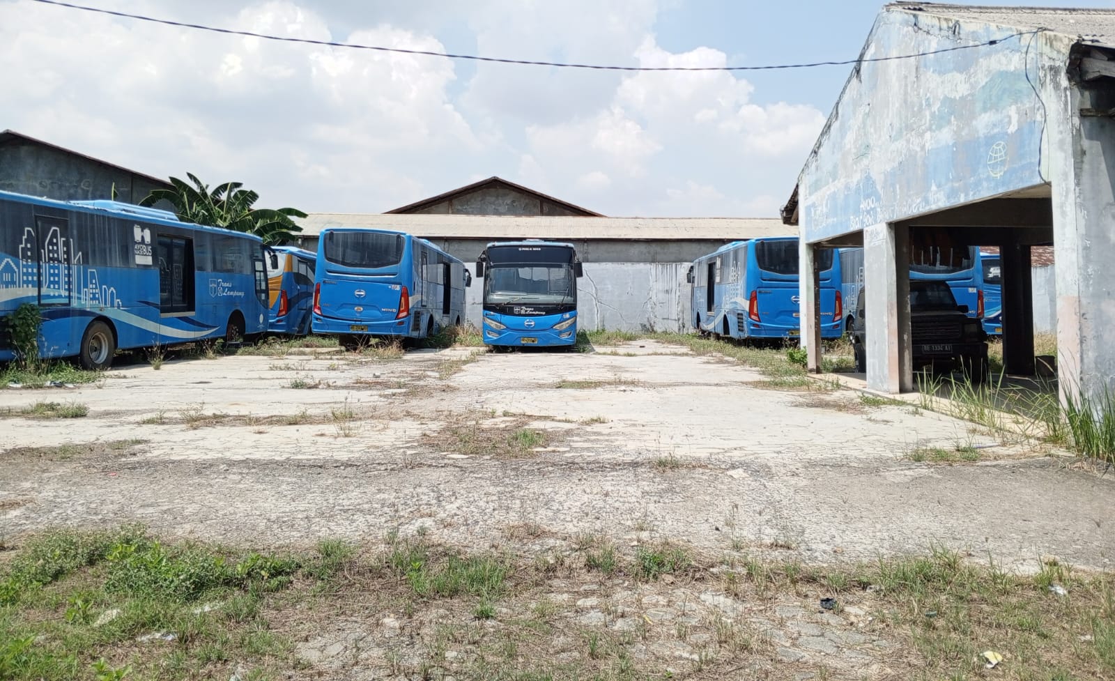 Puluhan Mobil Bus Trans Lampung Milik Pemerintah Kondisinya Terbengkalai 