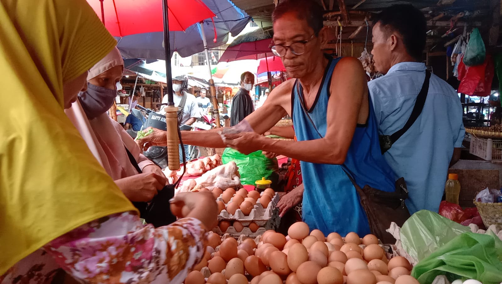 Harga Pakan Ternak Naik, Harga Telur Ayam Tembus Rp33 Ribu Perkilogram 