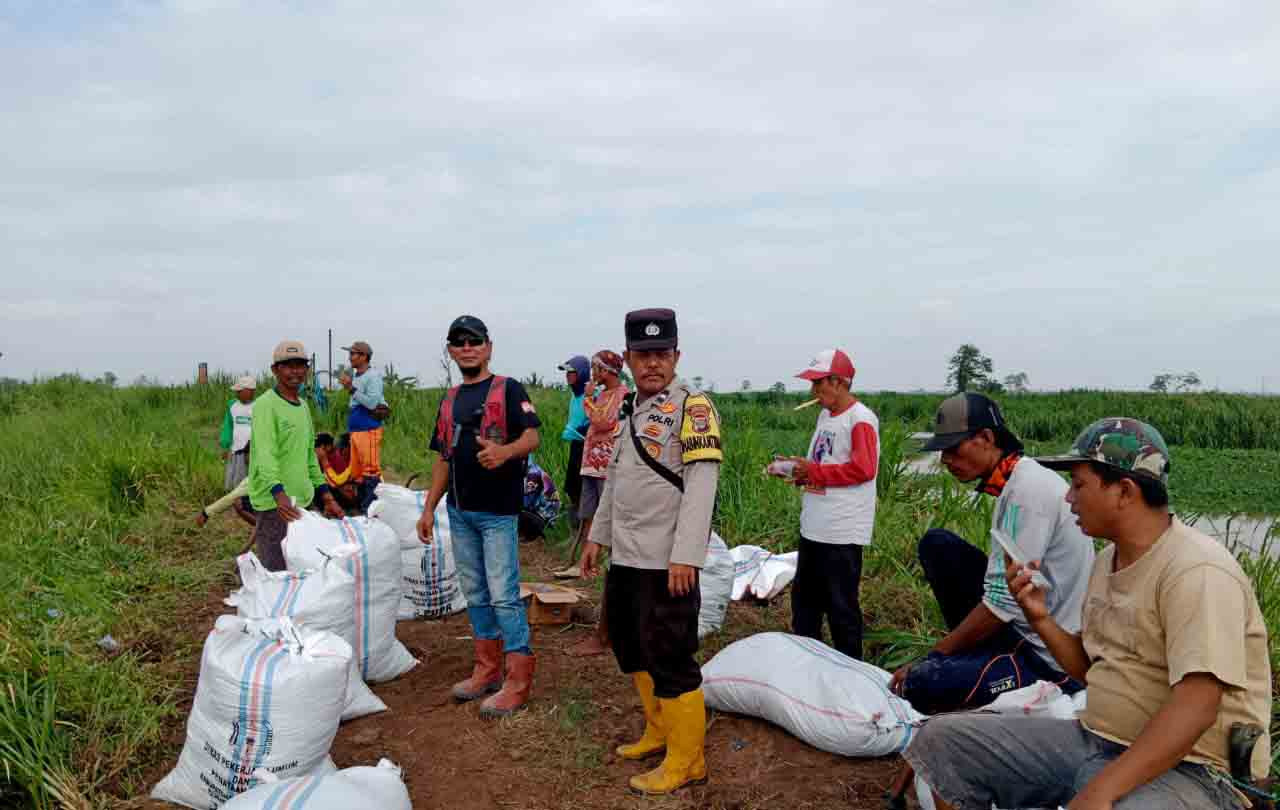 Debit Air Sungai Way Sekampung Terus Bertambah, Warga Desa Bandar Agung Bangun Tanggung Kantong tanah