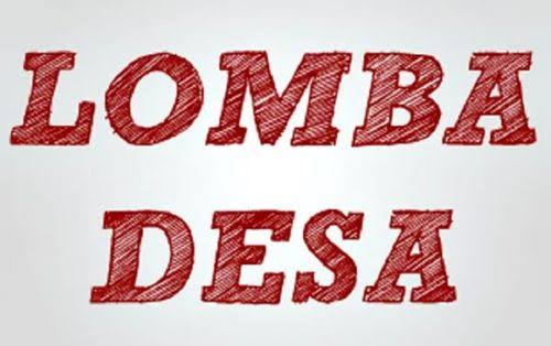 Inovasi Desa Rawa Selapan Memikat Perhatian Tim Penilai