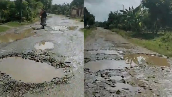 Jalan Milik Kabupaten Lamsel di Kecamatan Palas Rusak Parah, Warga Sebut Sudah 9 Tahun Tida Diperbaiki 