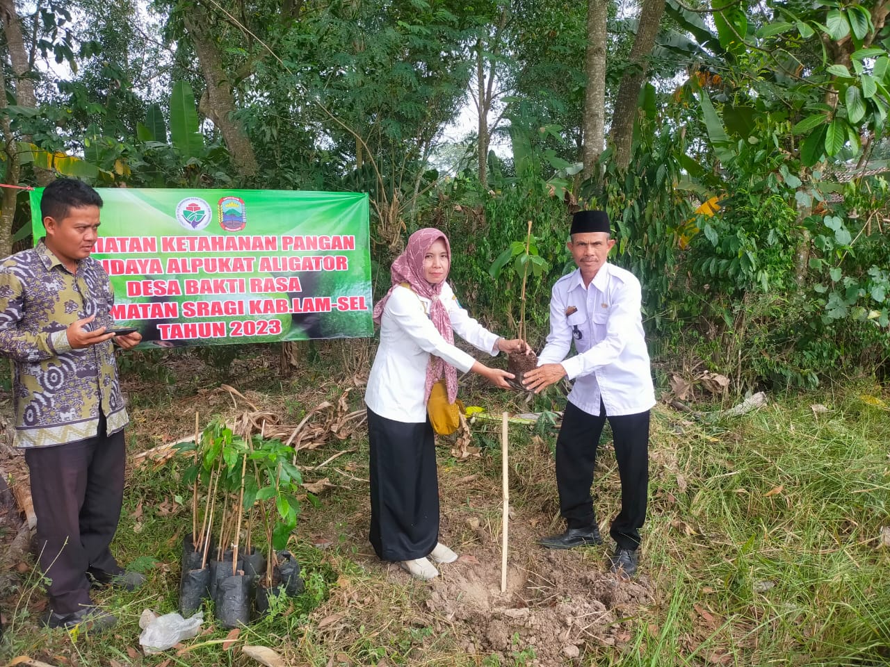 Jaga Sumber Pangan Masyarakat, Pemdes Baktirasa Tanam 100 Pohon Alpukat