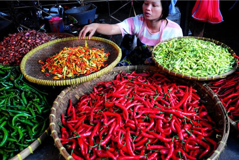 Harga Cabai di Lampung Selatan Tembus Rp110 Ribu Perkilogram