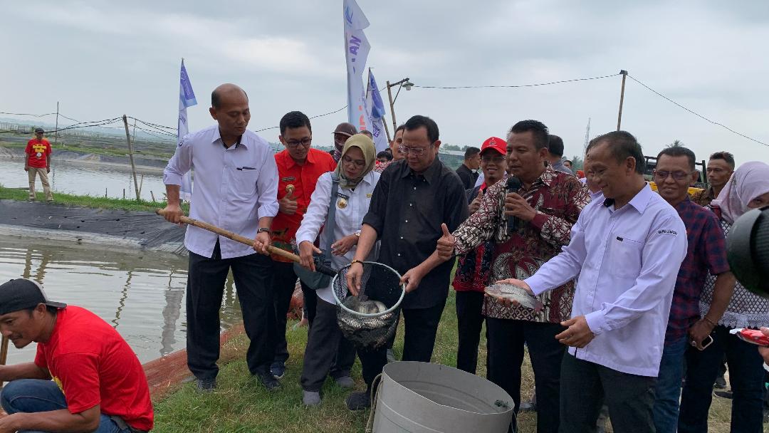 6 Kelompok Dapat 600.000 Benih Udang