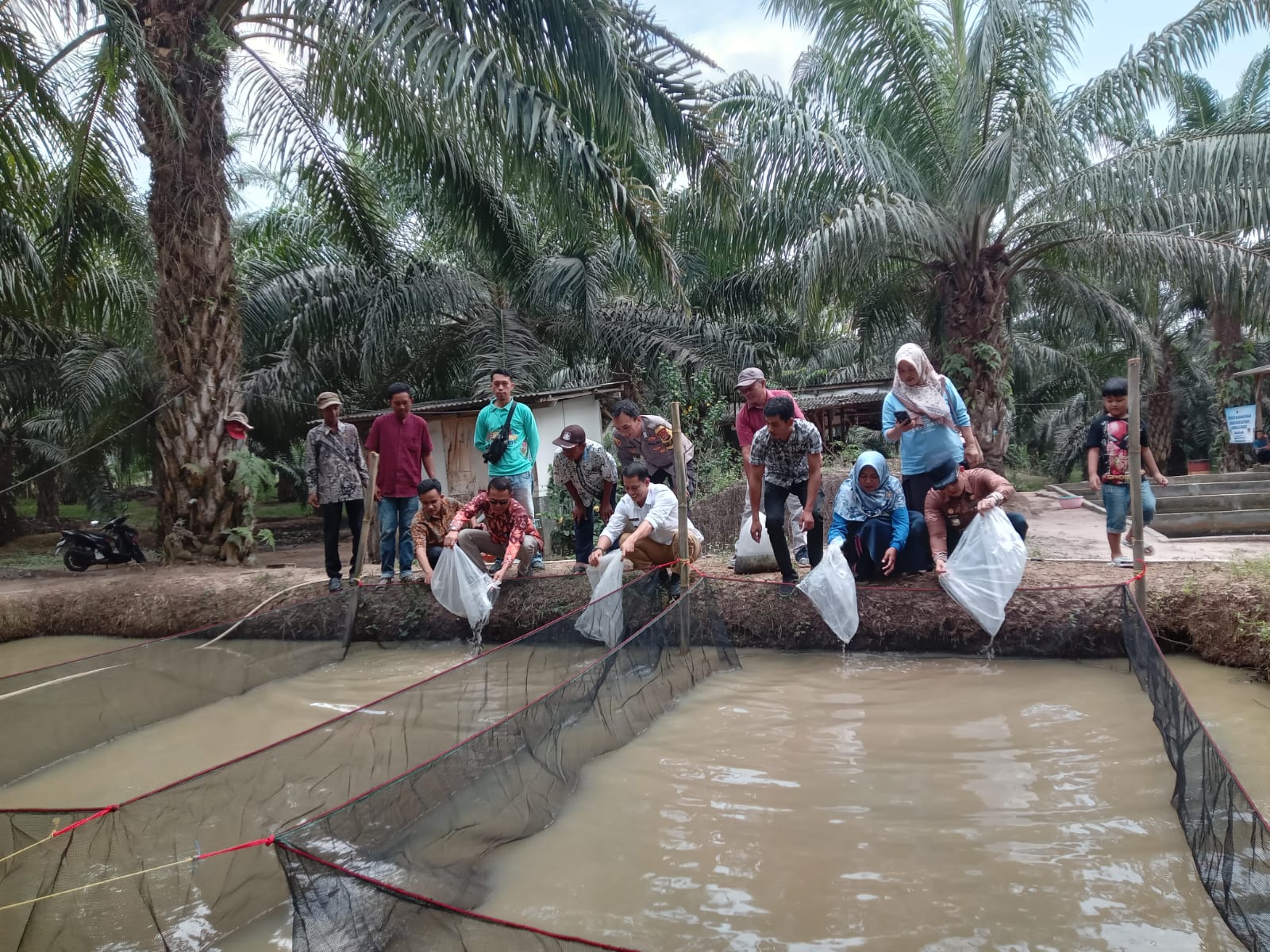 Desa Way Sari Tebar 40 Ribu Bibit Ikan Lele Untuk Program Bada Usaha Milik Desa 