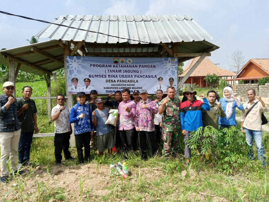 Desa Pancasila Launching BUMDes Perkebunan Jagung, Camat Natar : Harus Maju & Berkembang 