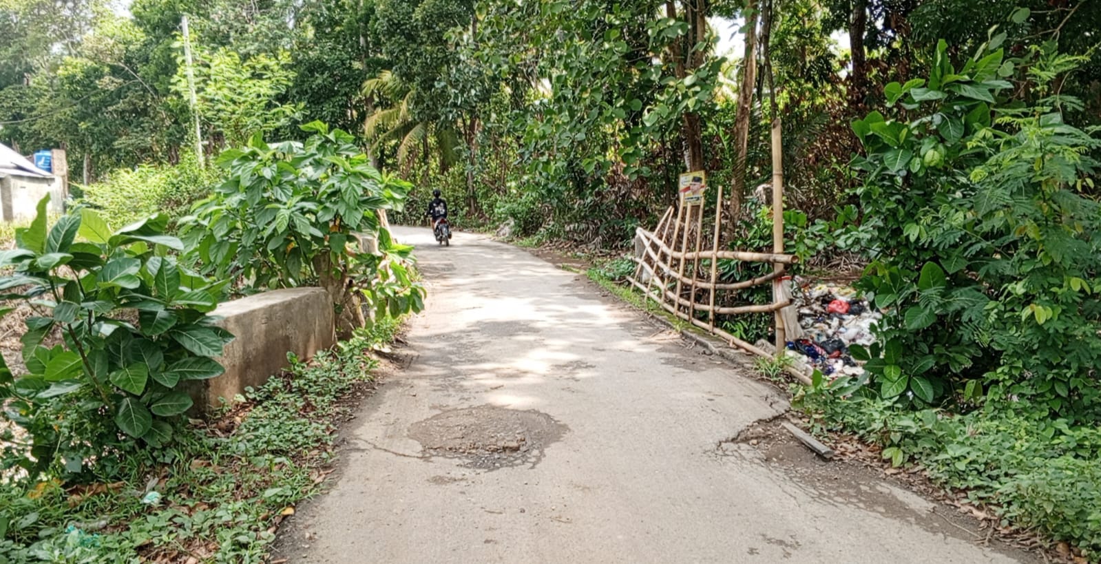 Jembatan Penghubung desa Kali Sari-Merak Batin Nyaris Ambrol, Bertahun - tahun Dibiarkan Begitu Saja