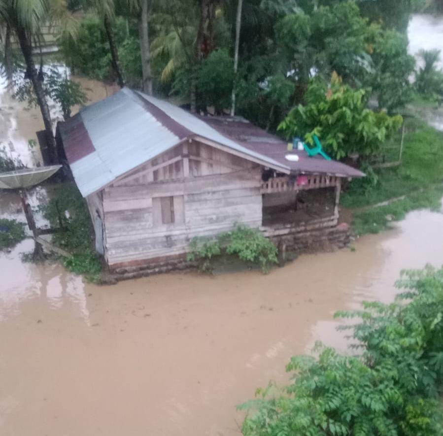 Aliran Way Pedada Pesisir Barat Meluap 10 Rumah Terendam Banjir 