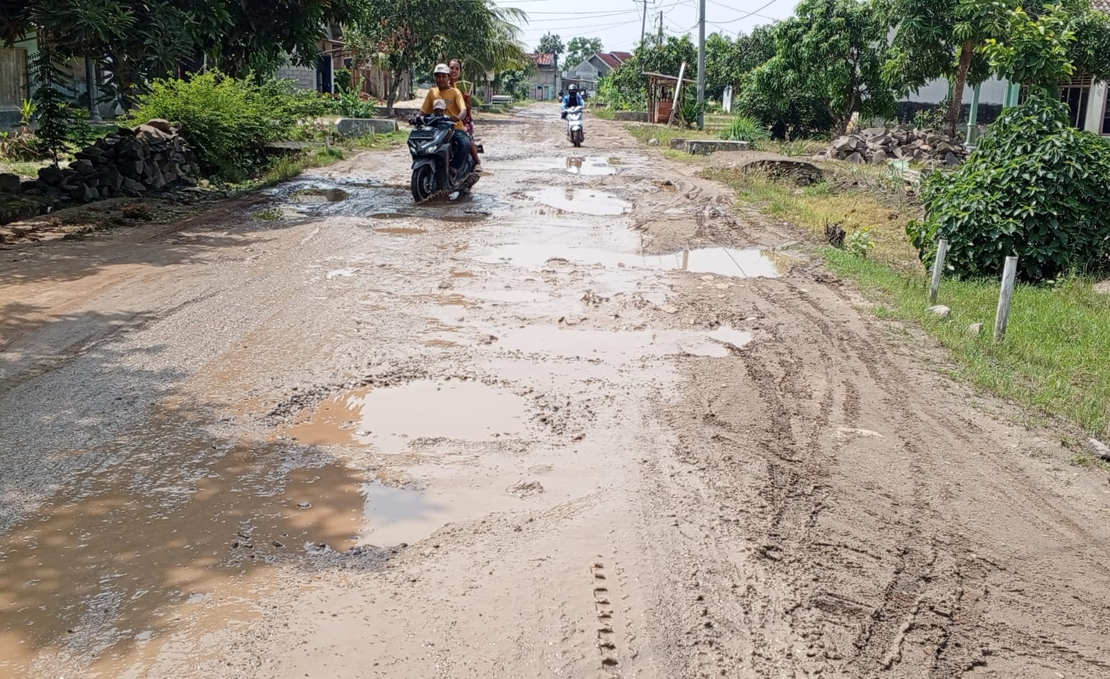Jalan Dusun Kandis Muara Putih Rusak Parah, Warga Sebut di Lampung Selatan Seperti Tidak Ada Dinas PU