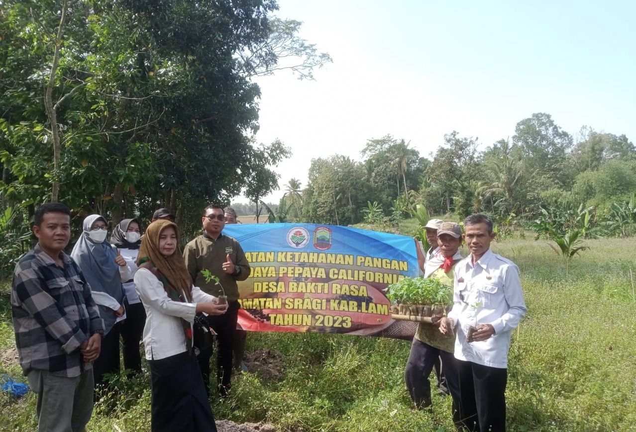 Desa Baktirasa Punya Kebun Pepaya