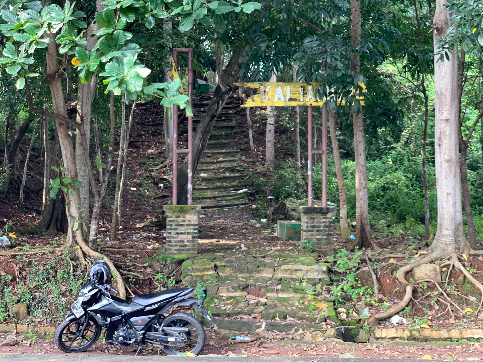 Hutan Kota yang Menjelma Jadi Hutan Rimba