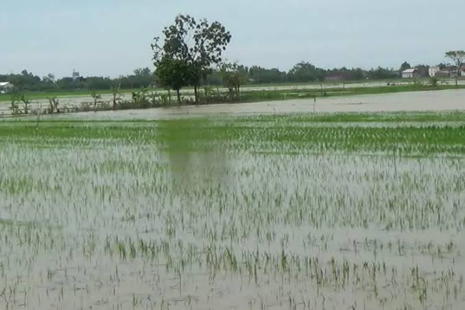 Palas Kembali Terancam Banjir