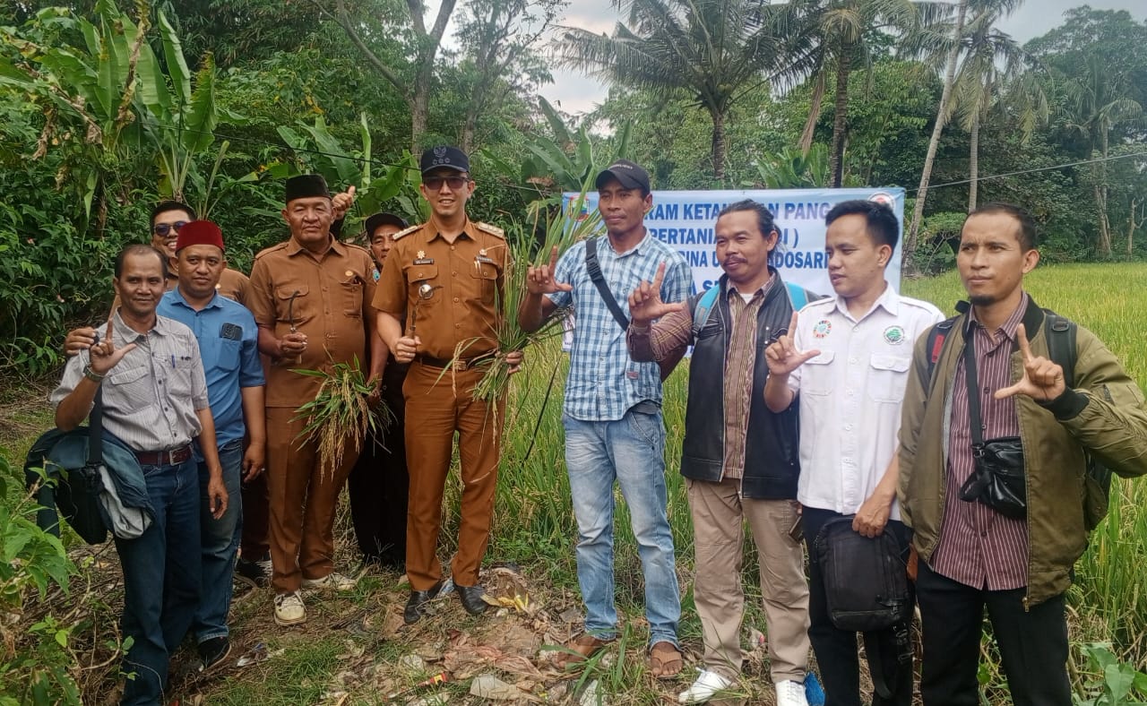 Desa Sidosari Gelar Rapat RKPDES dan Panen Raya Padi Program BUMDes Tahun 2025