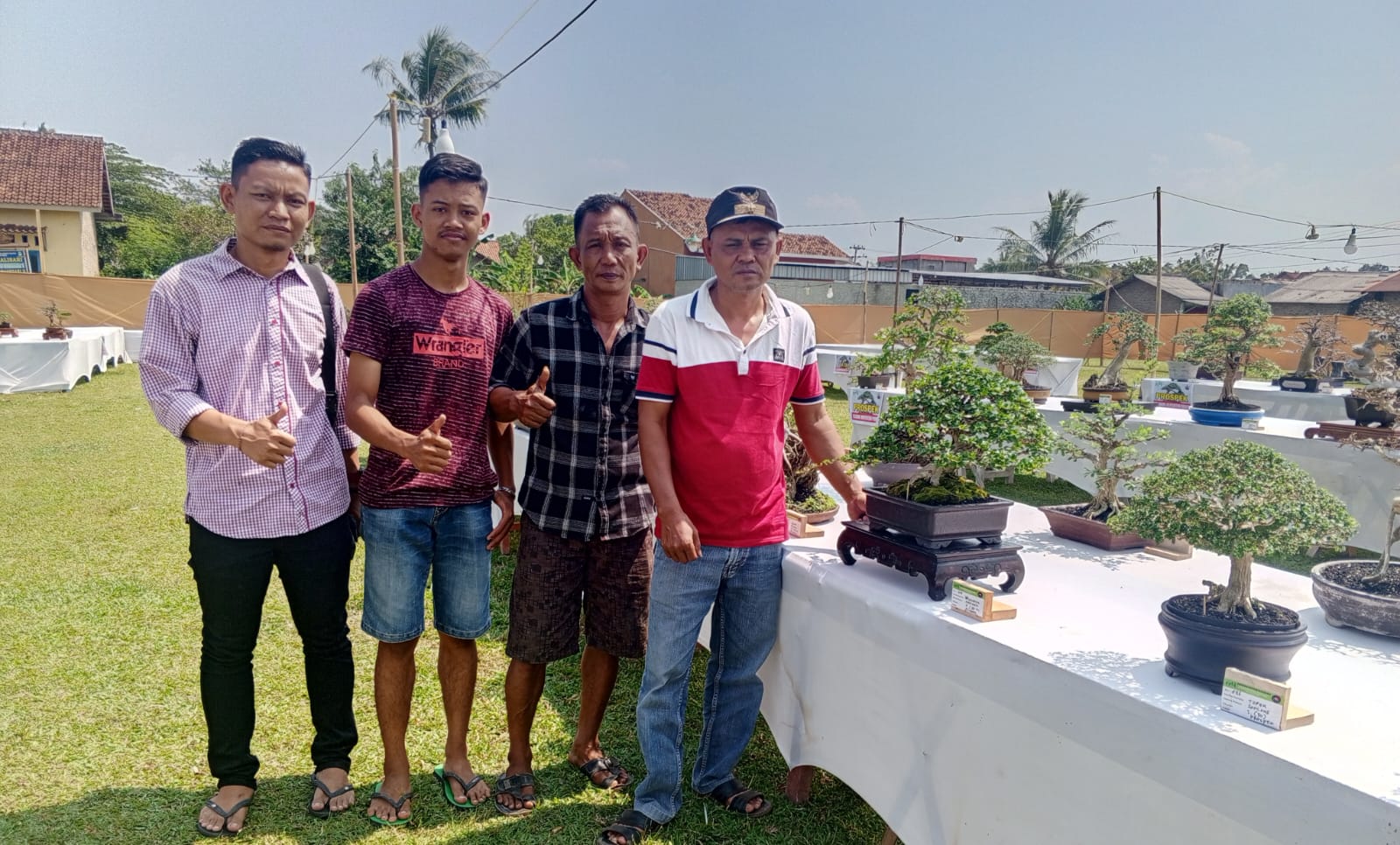 Pesona Bonsai Kalisari Natar, Pameran dan Kontes Bonsai Lokal Dibuka Selama 3 Hari