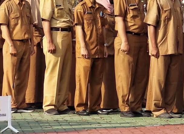 Mereka yang Tak Riuh Pengangkatan PPPK Paruh Waktu