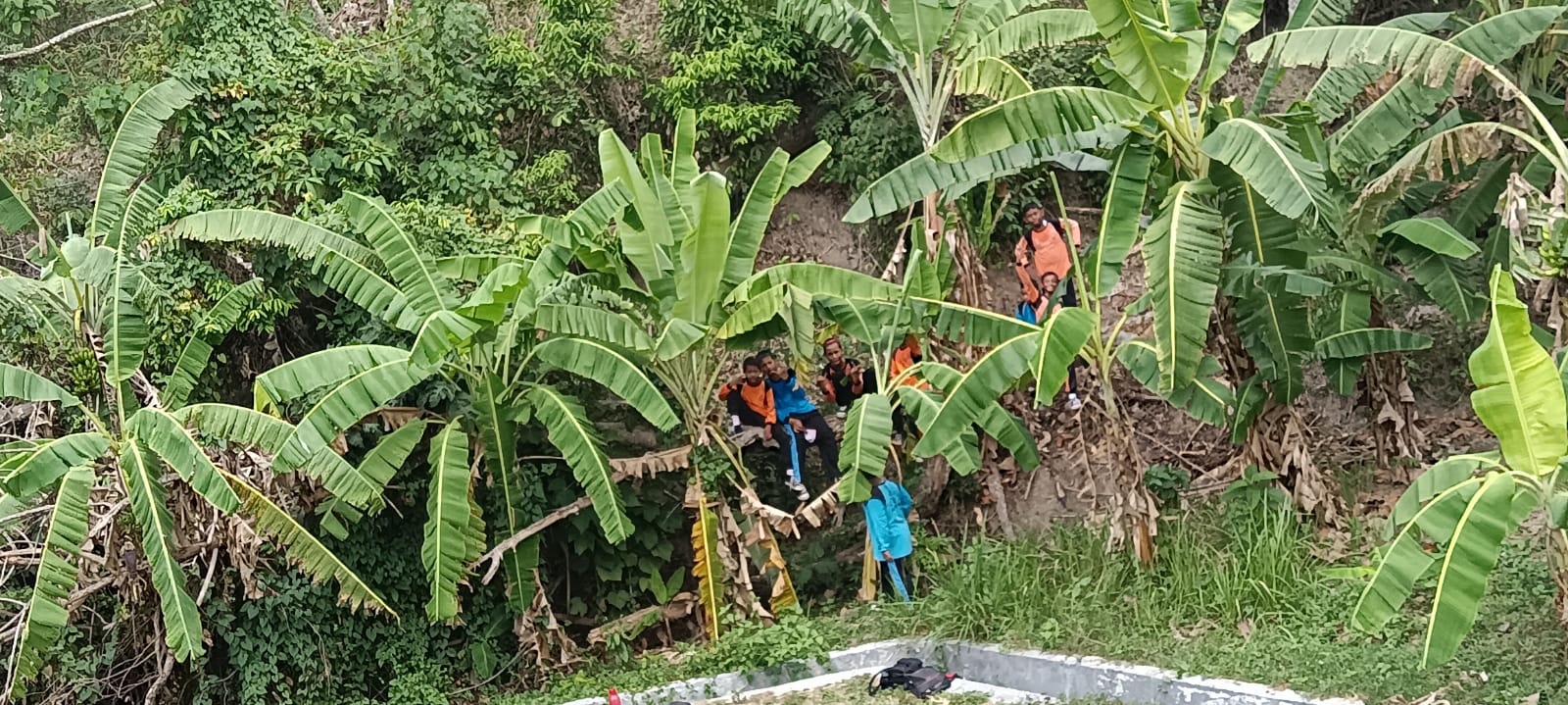 SDN 2 Branti Raya Ajak Siswa Belajar di Alam Terbuka Untuk Menambah Wawasan & Mensyukuri Ciptaan Tuhan