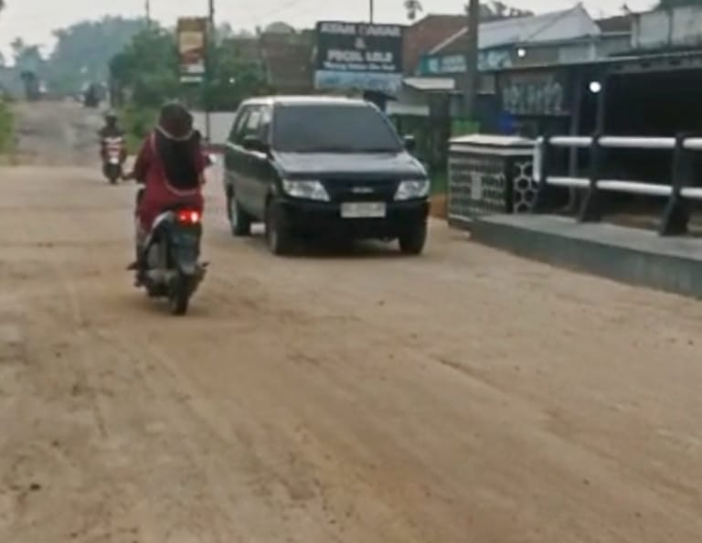 Jembatan Penghubung Antar Desa di Desa Mandah Dibuka, Warga : Terimakasih Ibu Ketua DPRD dan Pemerintah Lamsel