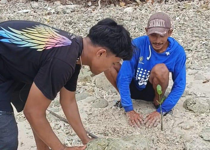 Penggiat Wisata - Masyarakat Kolaborasi Tanam Pohon di Pulau Kelapa 