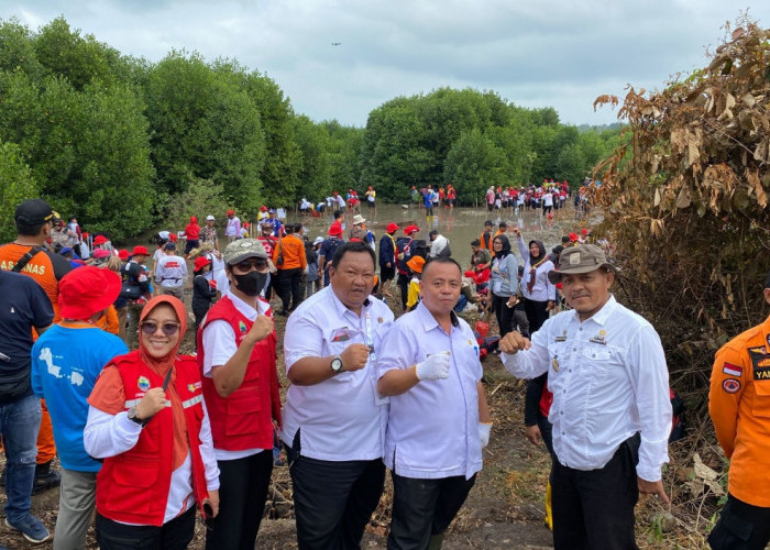 DLH Apresiasi Kegiatan Tanam Mangrove Peserta Jumbara