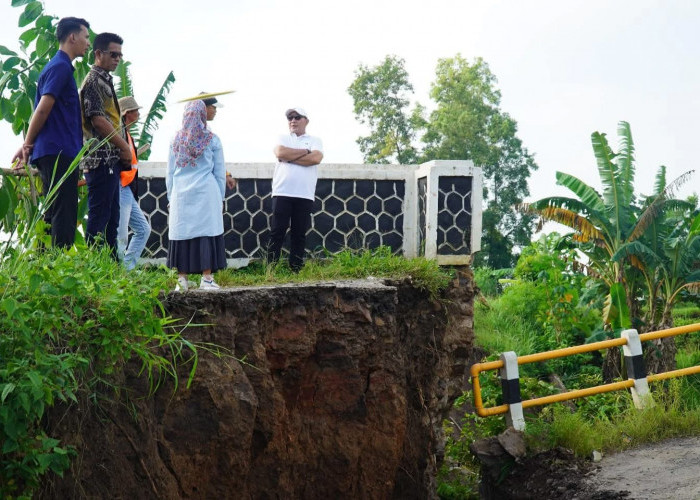 Tinjau Jembatan Ambrol, Wabup Syaiful: Secepatnya Kita Persiapan Langkah Jangka Pendek