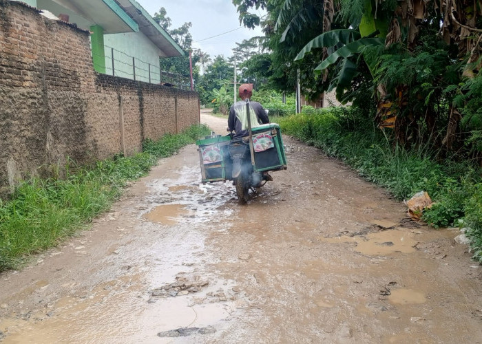 8 Tahun Menjabat, Bupati Nanang Tidak Mampu Benahi Jalan Rusak di Tegah Ibu Kota Kecamatan Natar 