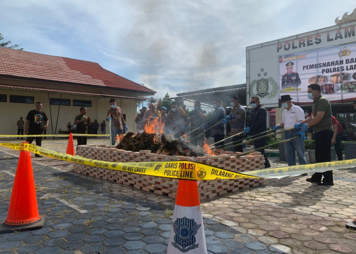 Polres Lamsel Bikin Bandar Merenung, Narkoba Senilai Rp39,2 miliar Dilenyapkan