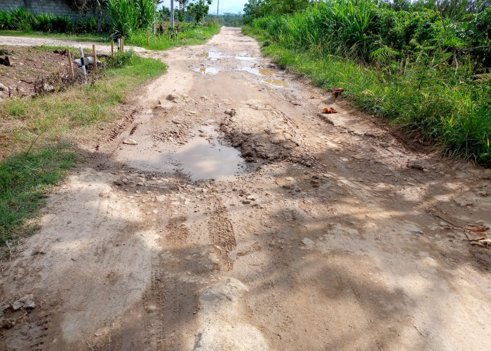 Pemkab Tidak Peduli Soal Infrastruktur Jalan Rusak di Lampung Selatan