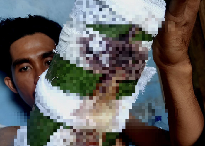 Cerita Pilu Eks dan Karyawan PT Autumn Agro Industri di Palas